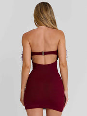 Shona Mini Dress Burgundy